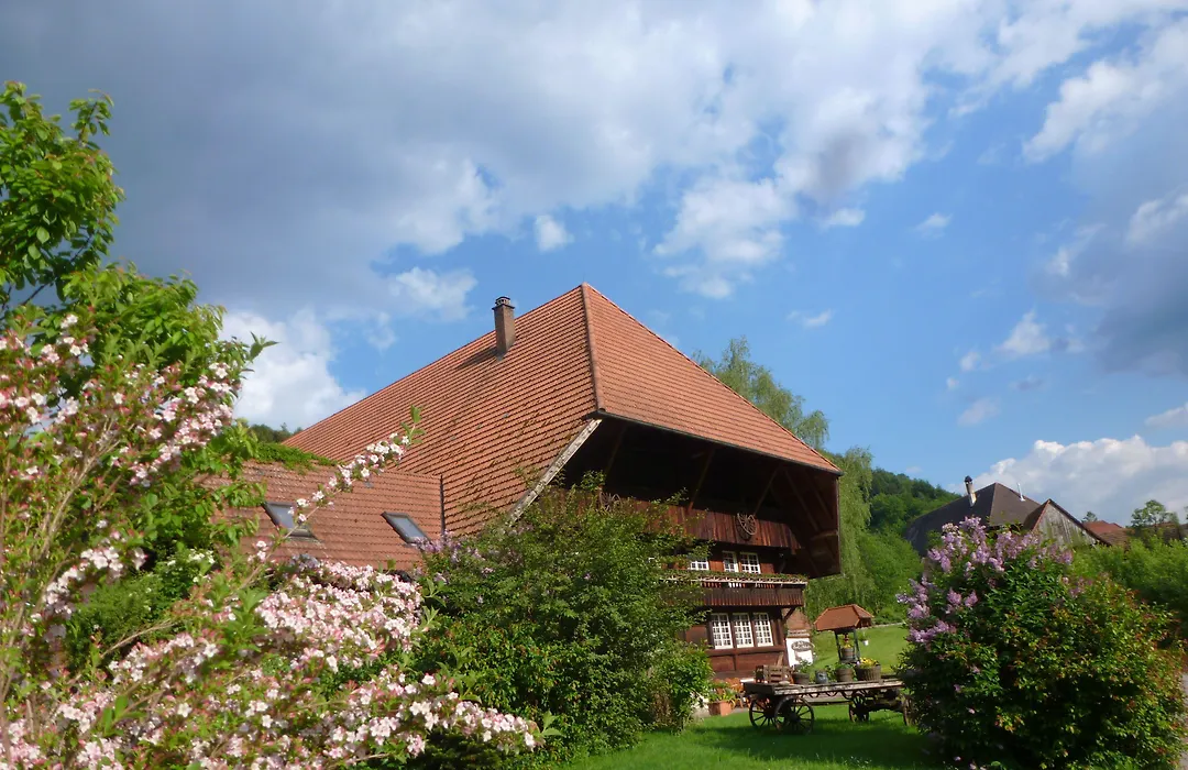 Rommelehof-1
