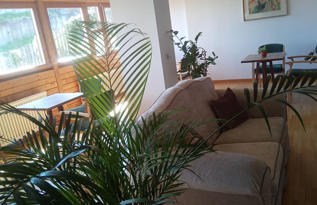 Pension Fellis-1