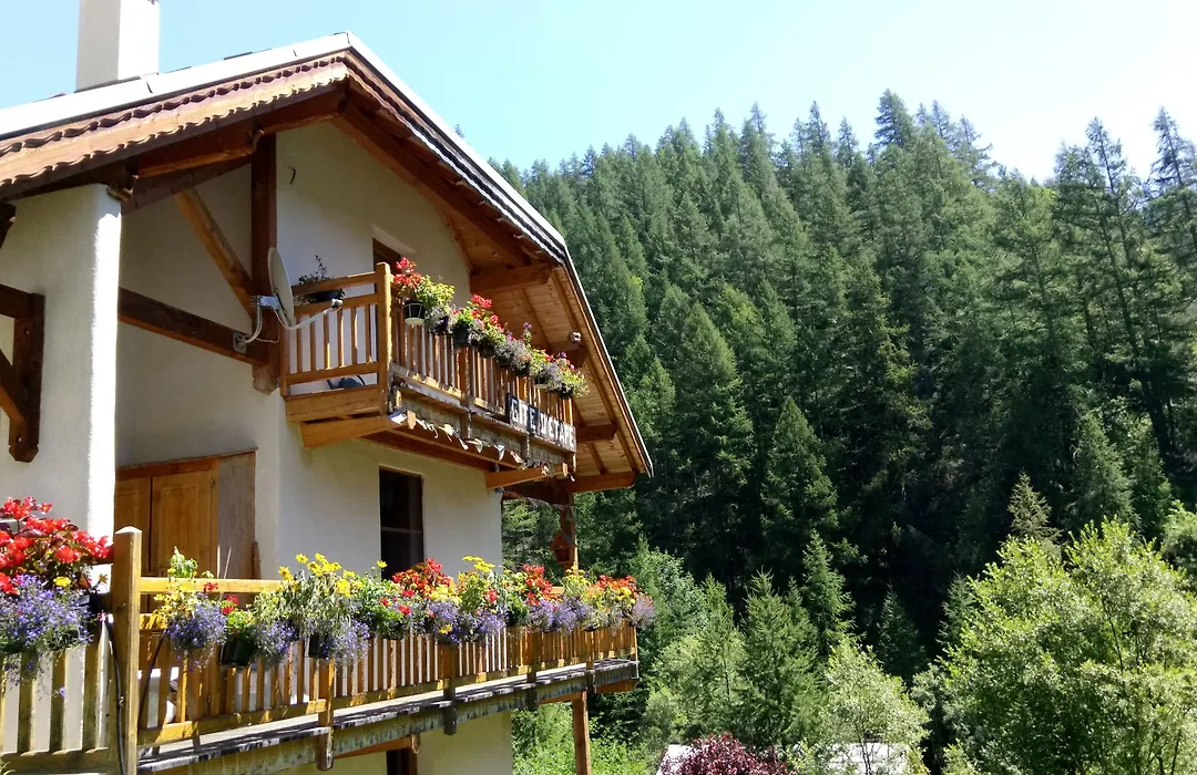 Gîte Ancolie Bleue-1