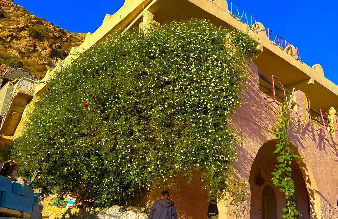Dar Fatma Toujane-1
