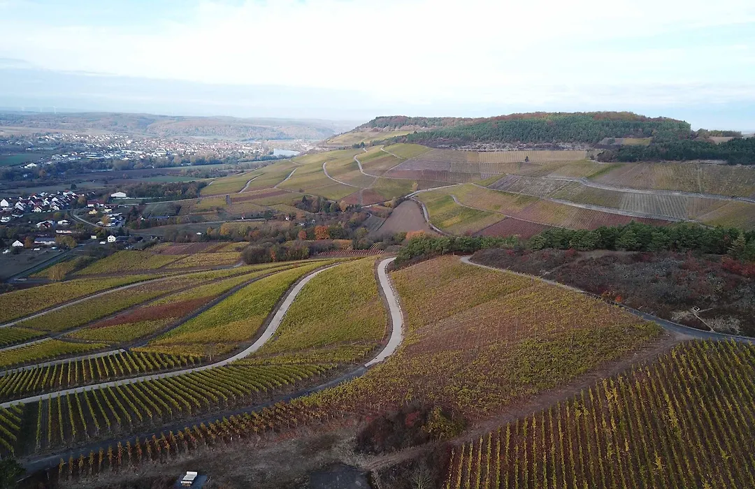 Pension Weingut Schwab-1
