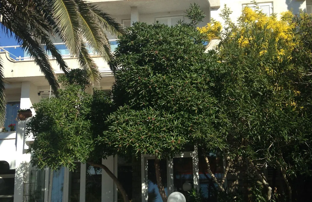 Guesthouse Punta Mira - Beachfront-1