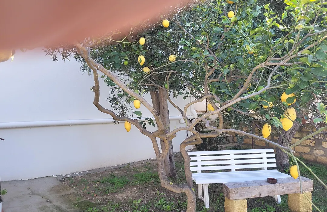 Casa Villaggio Pirandello-1
