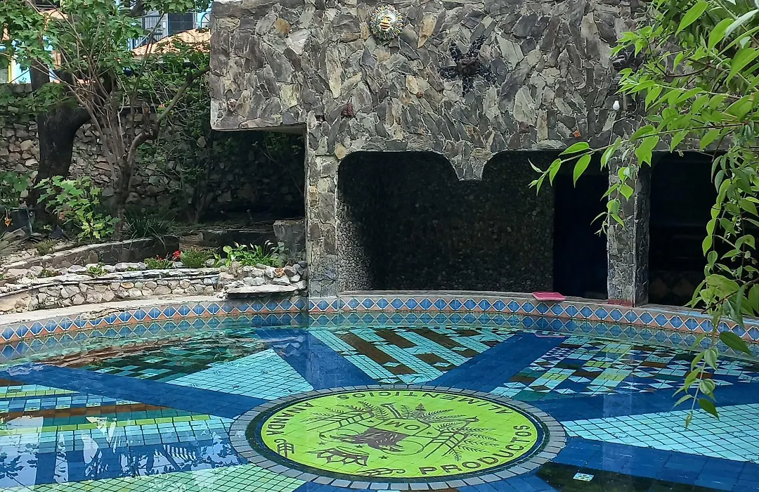 La Casa De Los Mangos Ajijic-1