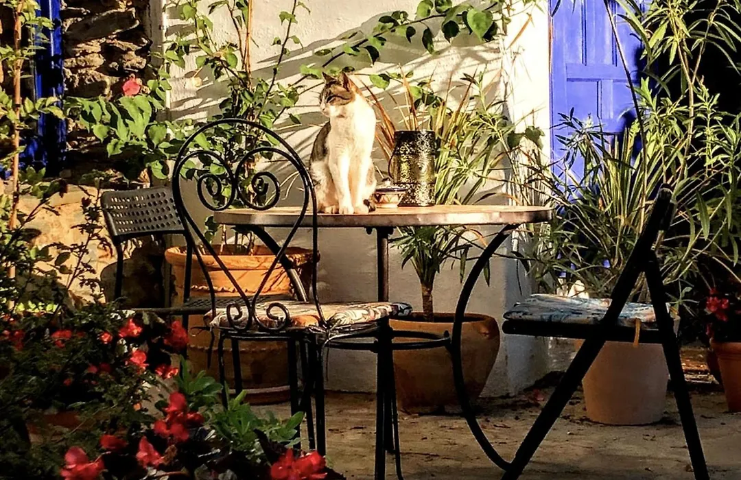 Casa Jazmin-1
