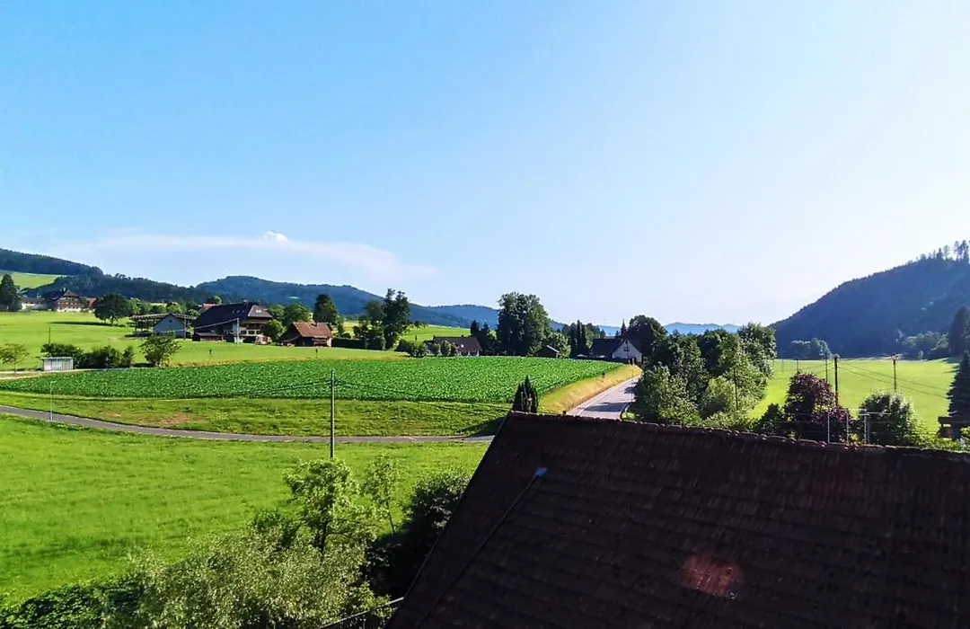 Grüner Hof-1