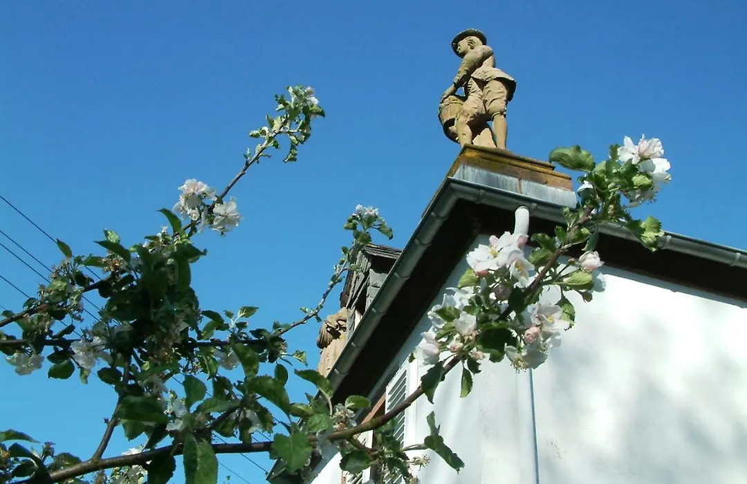 Hotel zum alten Brauhaus-1