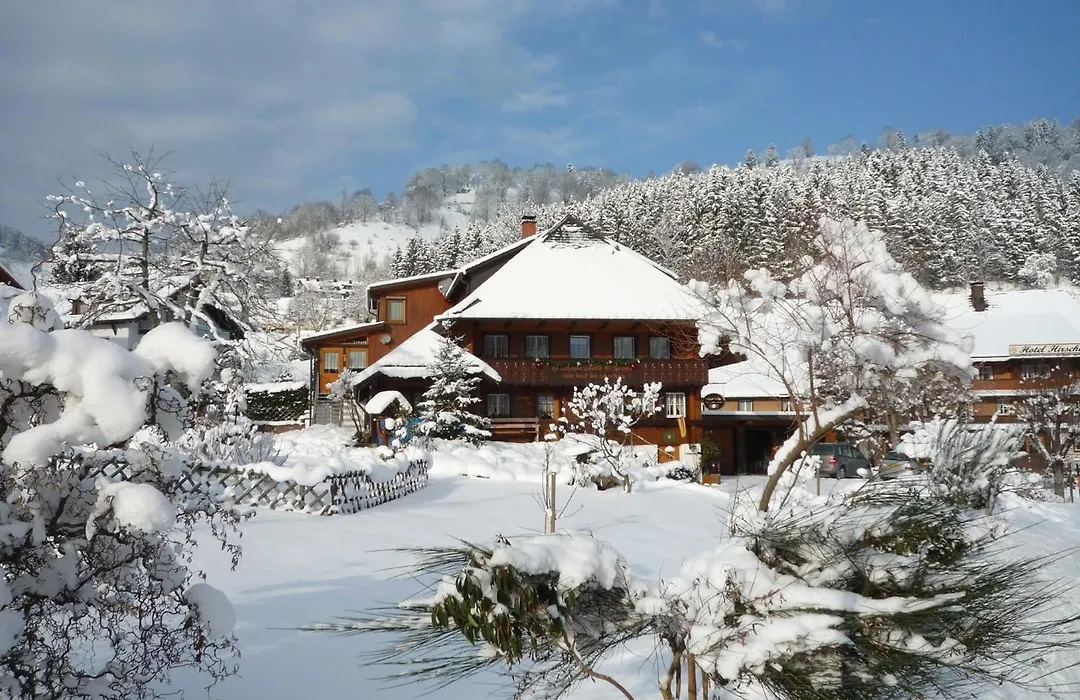 Haus Erika-1
