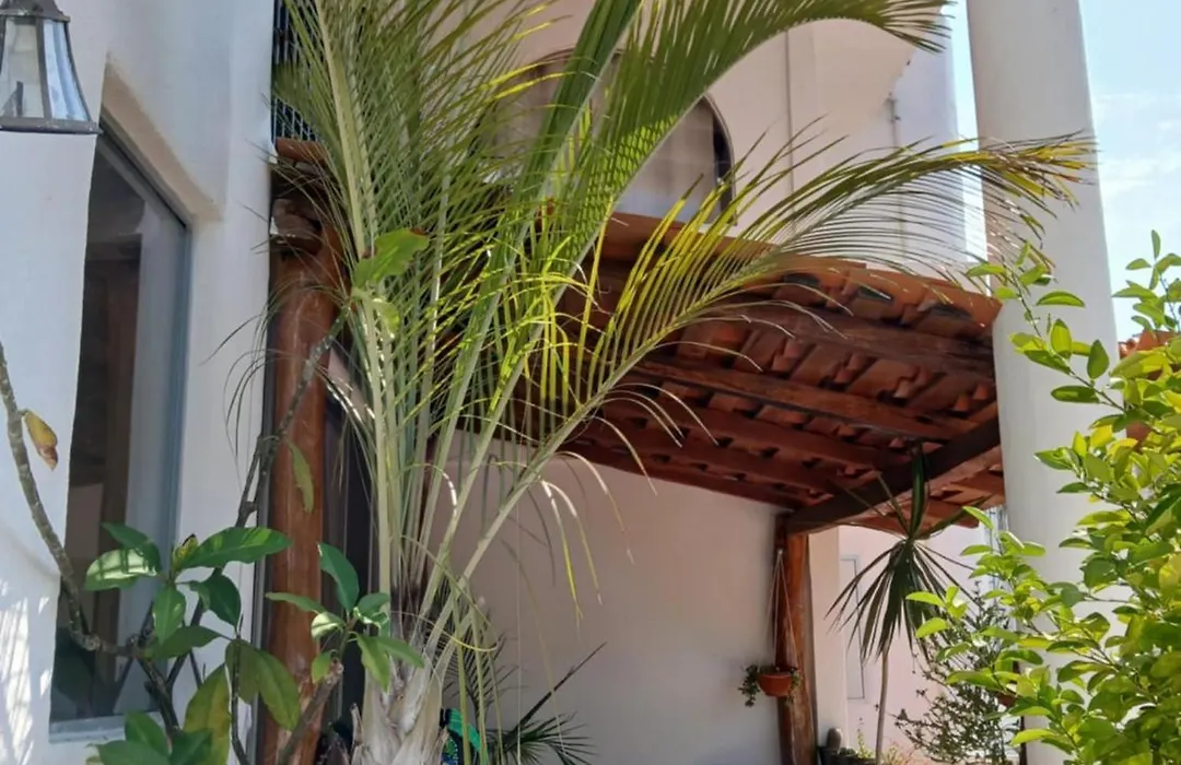 La Vivienda Villa-1