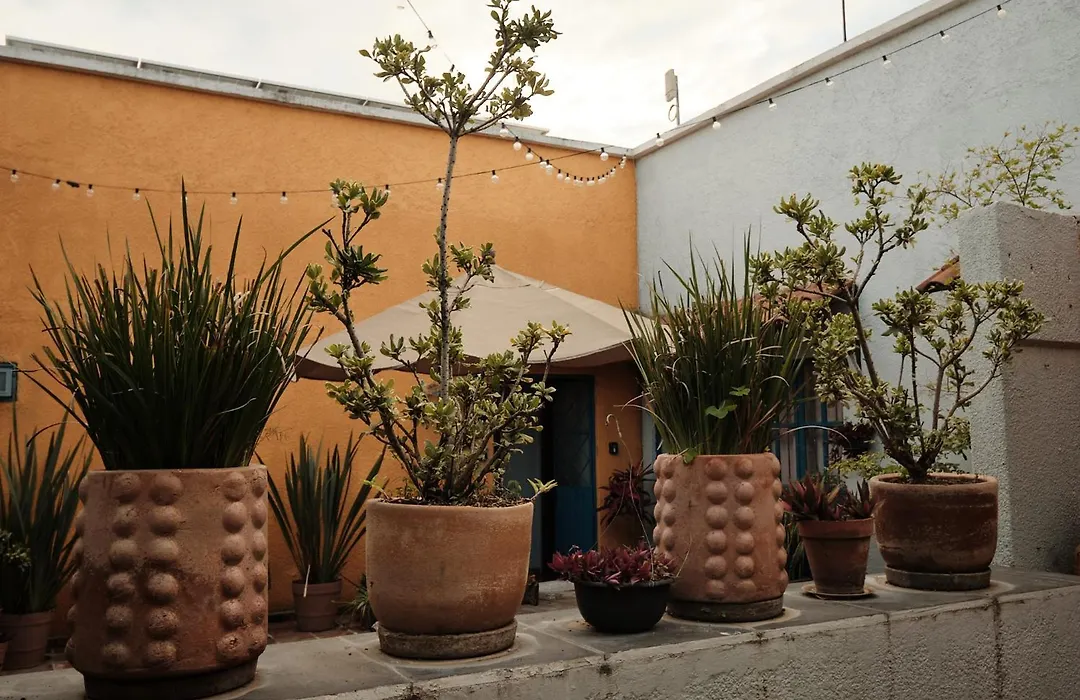 Casa Arrayan-1
