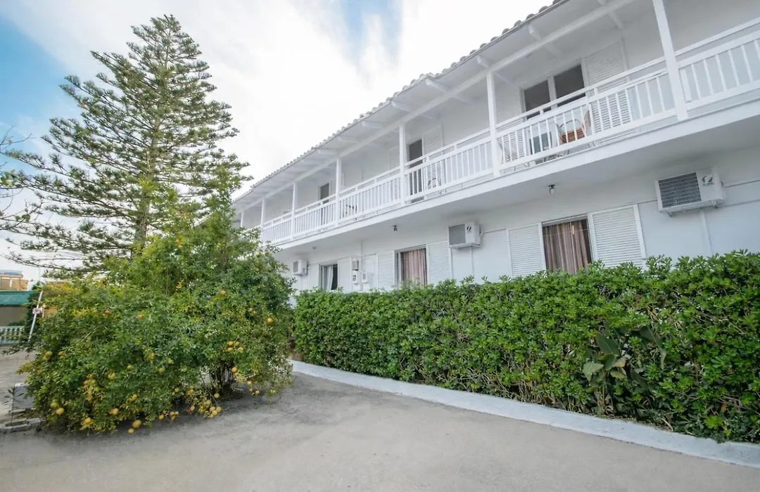 Theodora Studios Best Location In Laganas Next To The Party Area-1