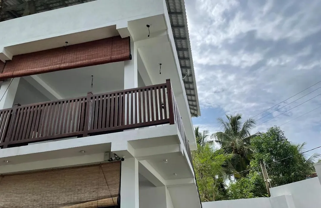 Villa Coconut Tree-1