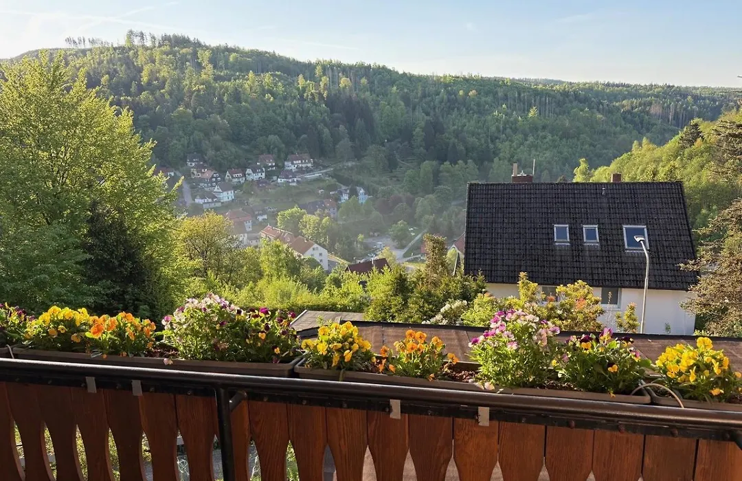 Pension Talblick Bad Grund-1