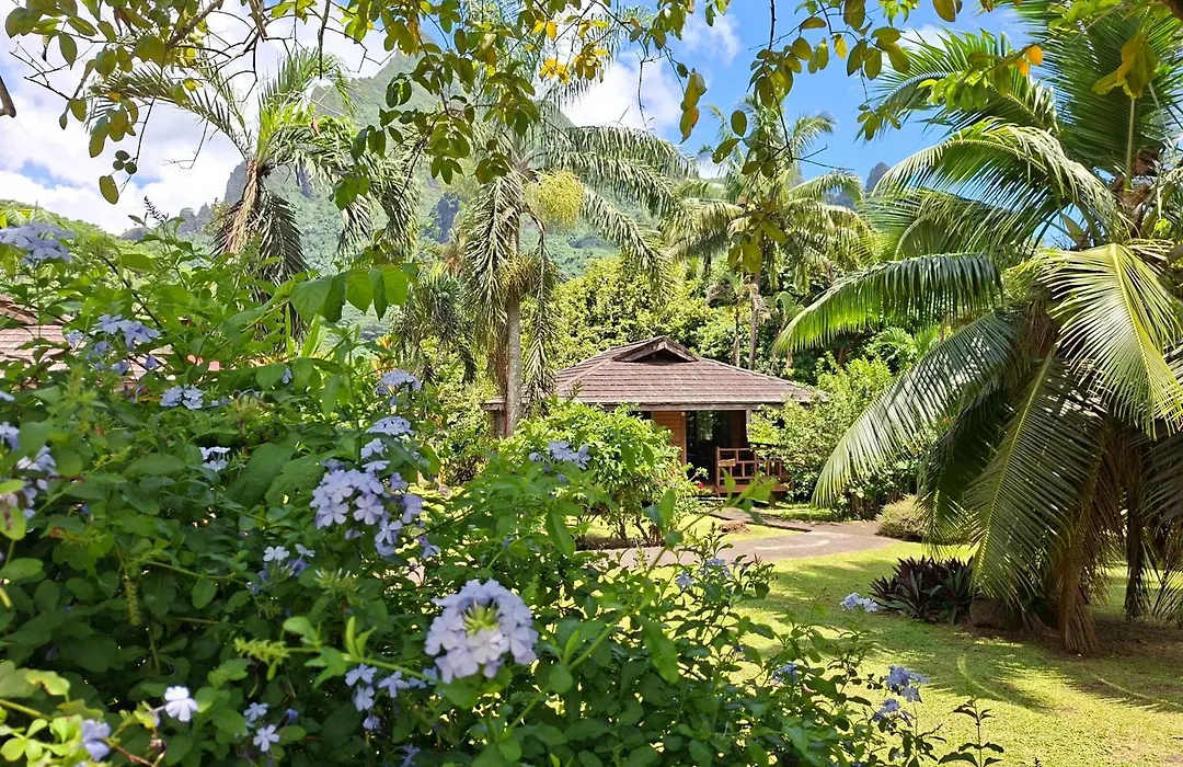 Eco Lodge Village Temanoha-1