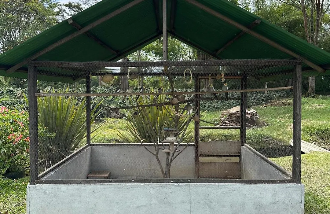 Cabana La Guitarra-1