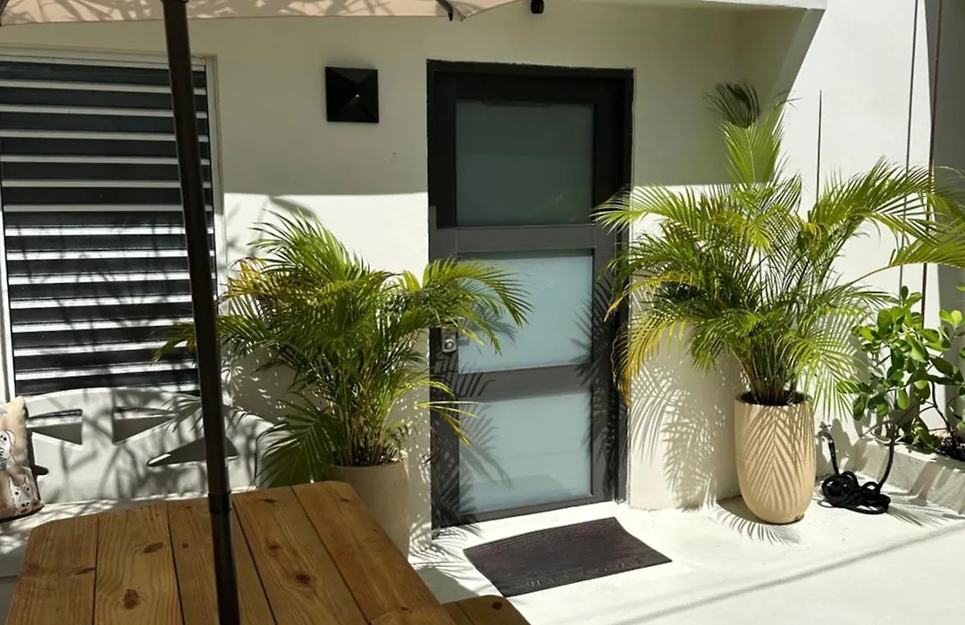 Tropical Studio-1