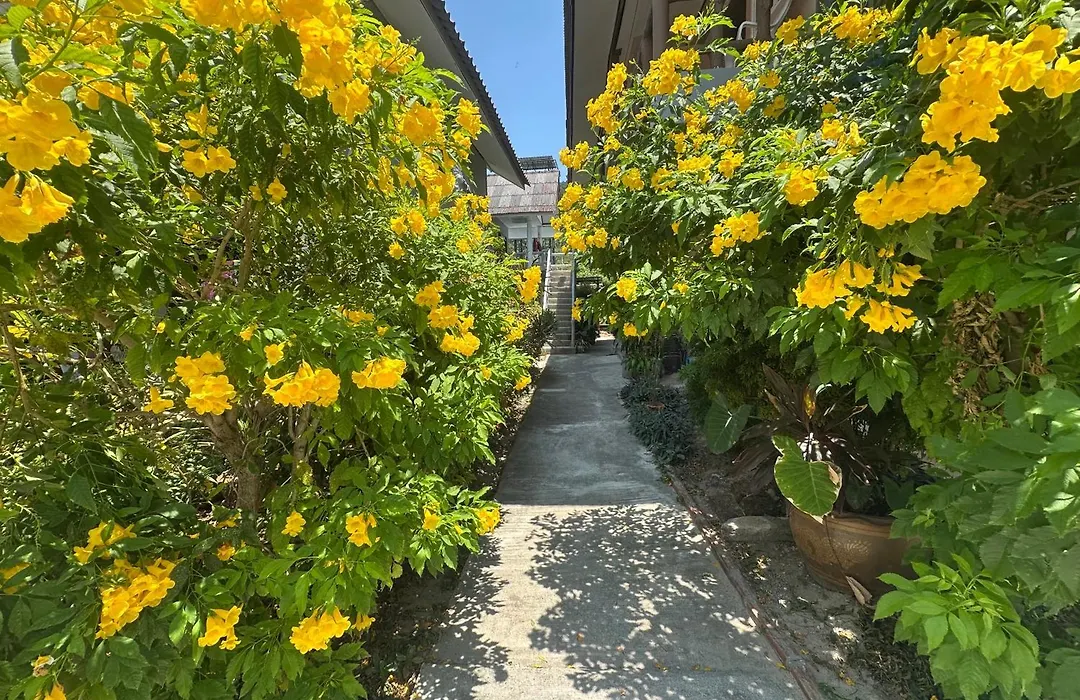 Lanta Garden Home-1