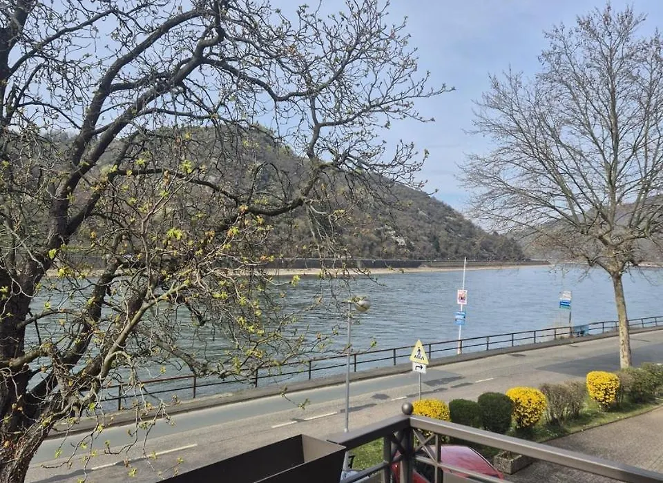 Pension / Ferienwohnungen Scheid-1