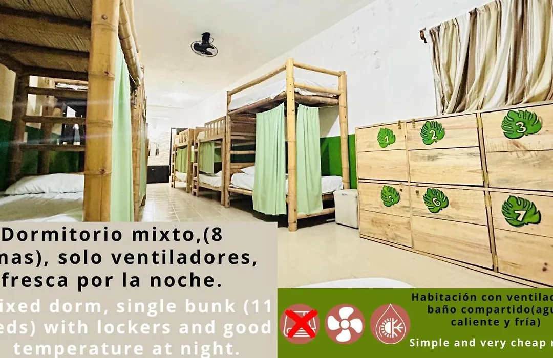 Hostal Pakal King-1
