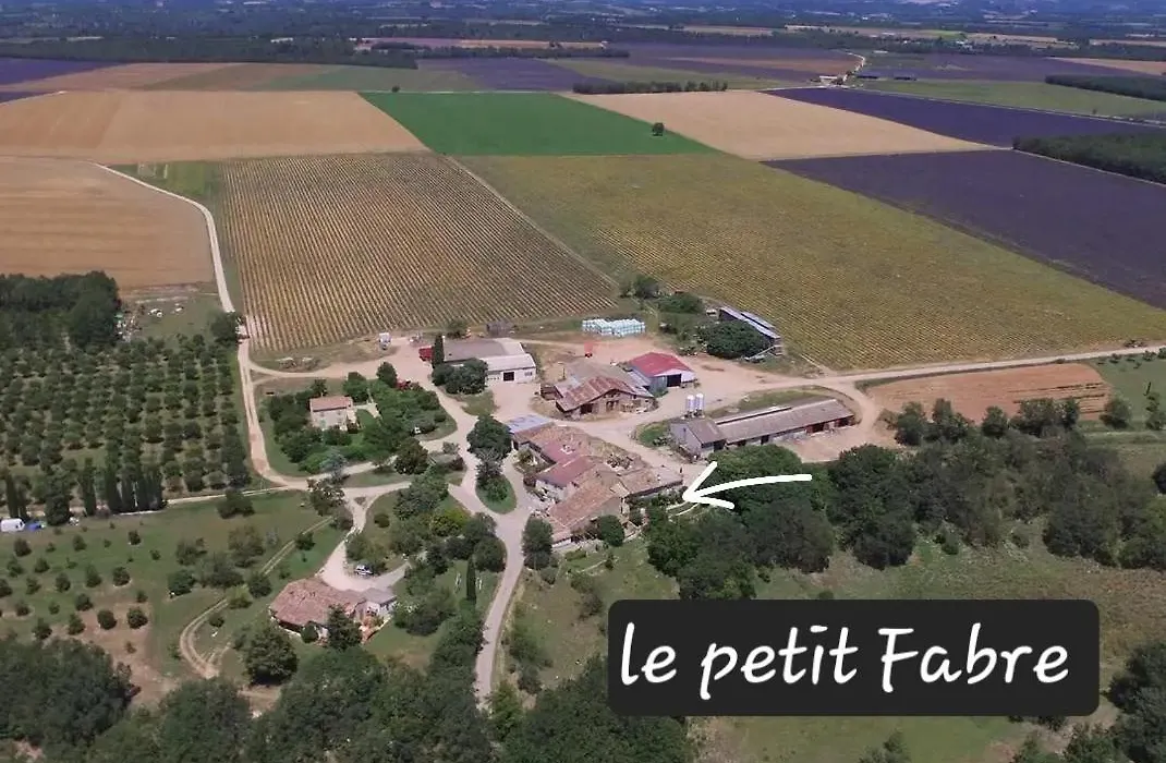 Le Petit Fabre-1