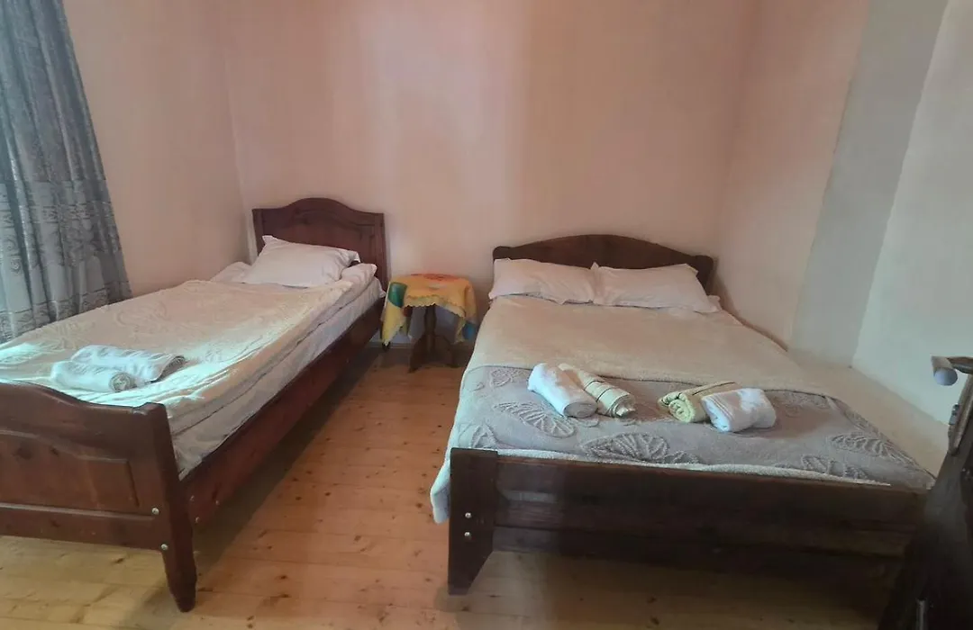 Nino & Tarzan Guesthouse-1