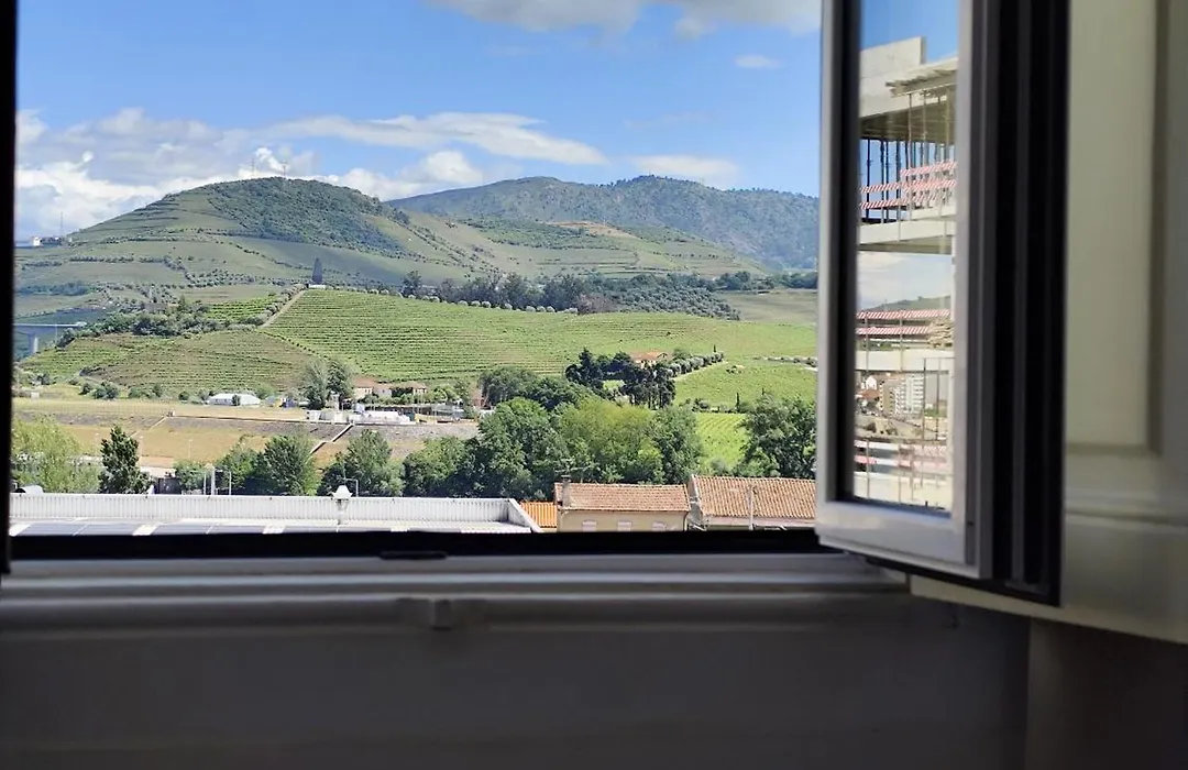 Casa Do Salgueiral Douro-1