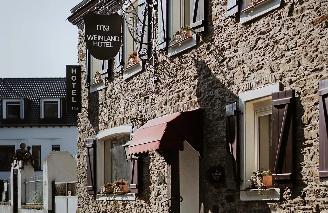 Hotel garni Altes Winzerhaus Moselschänke-1