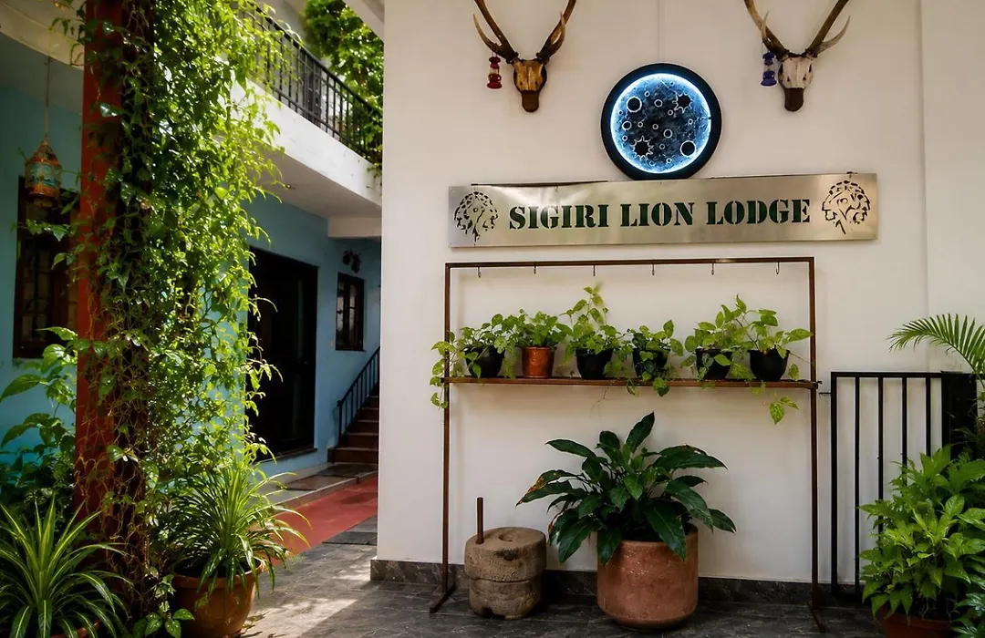 Sigiri Lion Lodge-1