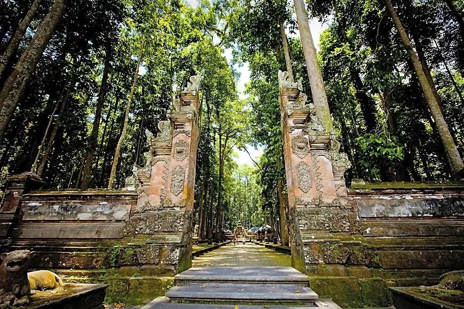 Ubud Dream-1