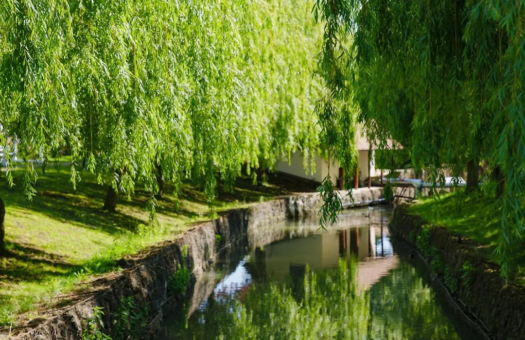 Hanul Moara Cu Noroc-1