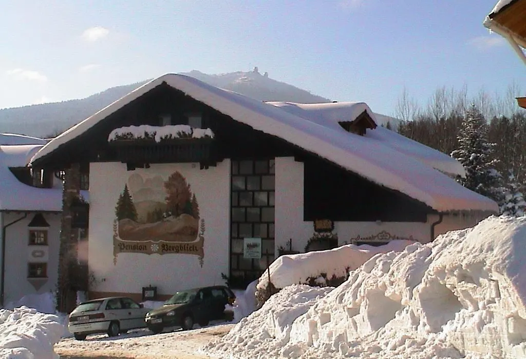 Pension Bergblick-1