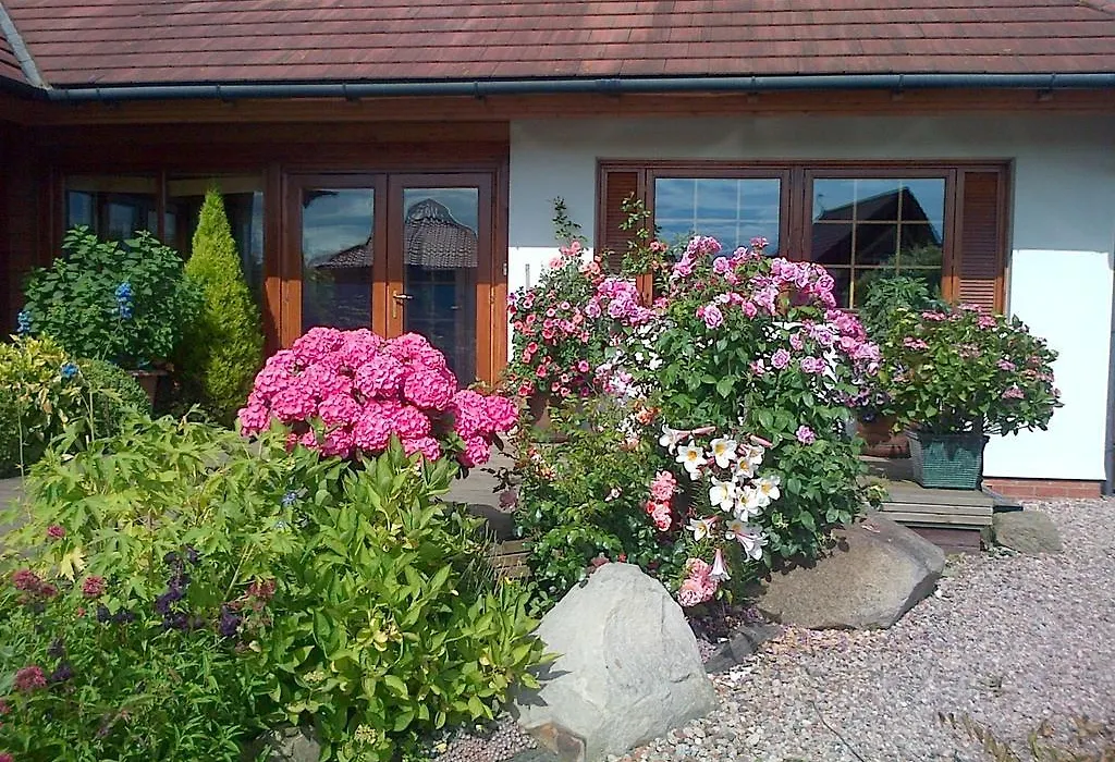 Pinetree Lodge Druridge Bay-1