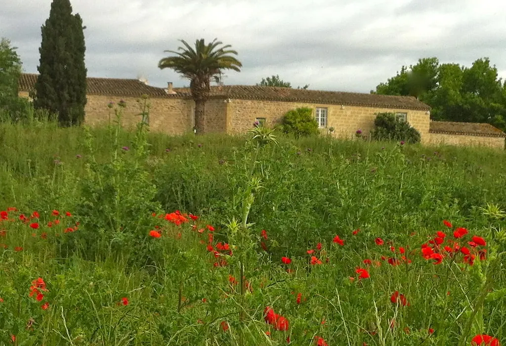 Le Moulin De Saint Laurent-1
