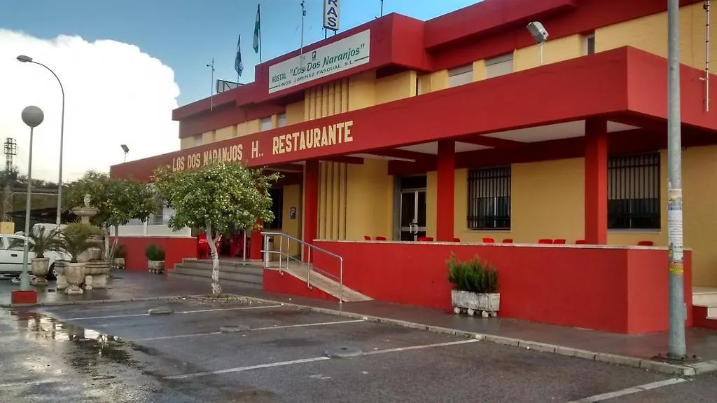 Hostal los Dos Naranjos-1