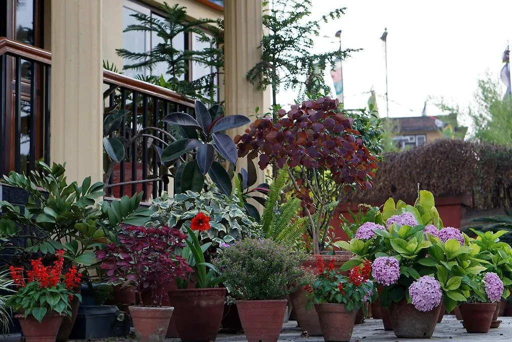 Swayambhu View Guest House-1