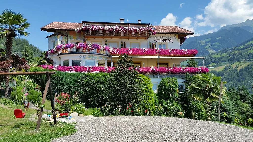 Pension Weinberg-1