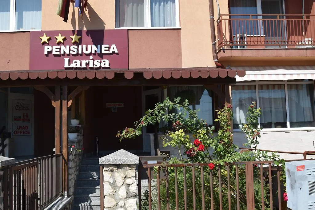 Pensiunea Larisa-1
