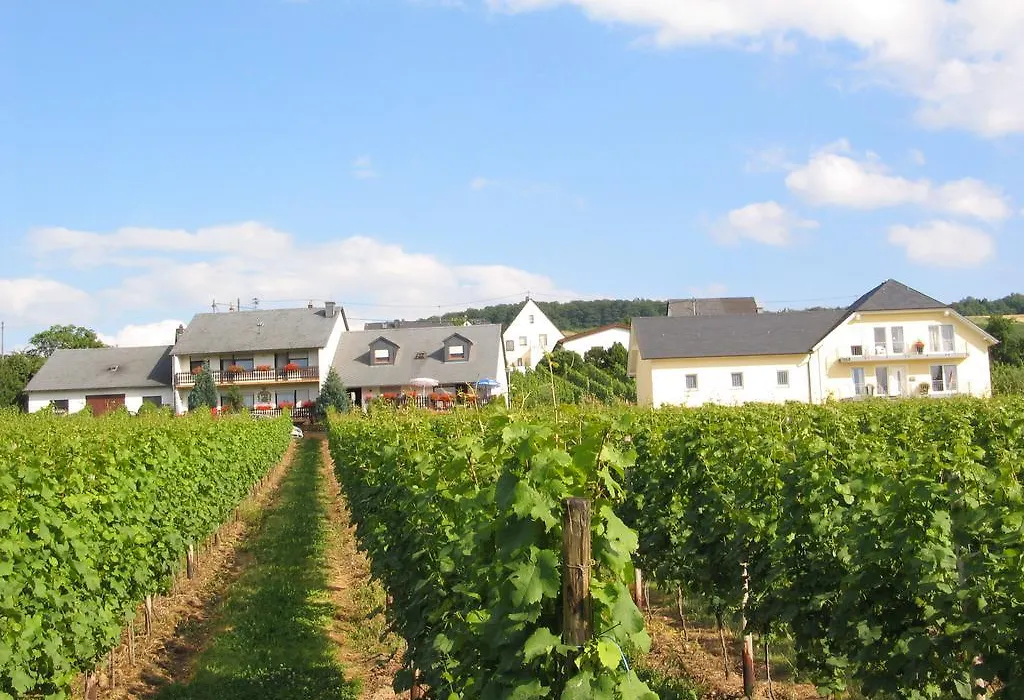 Pension und Weingut Moselblick-1