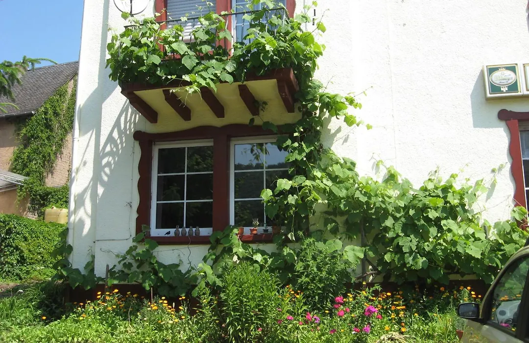 Pension Am Roemerberg-1