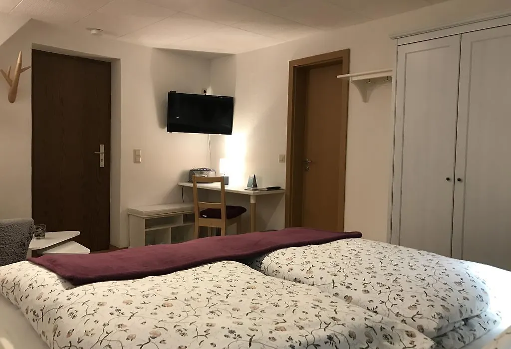 Pension Schanzenblick-1