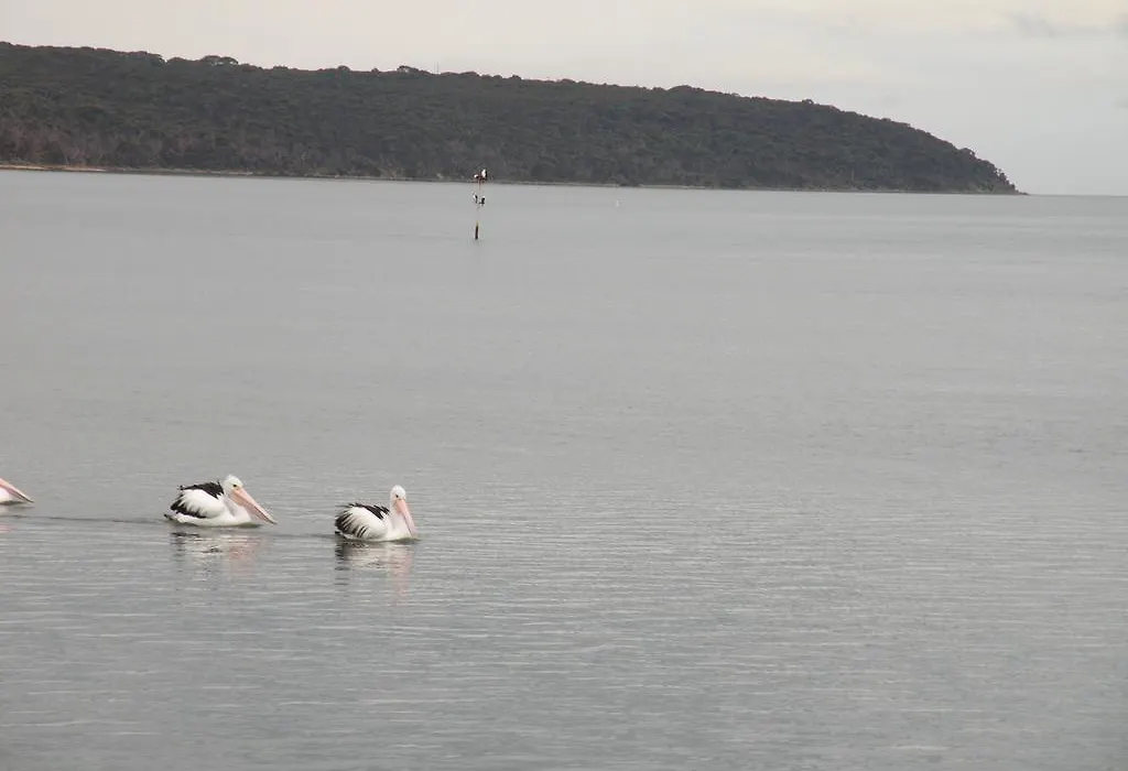 The Anchorage Cottage Kangaroo Island-1