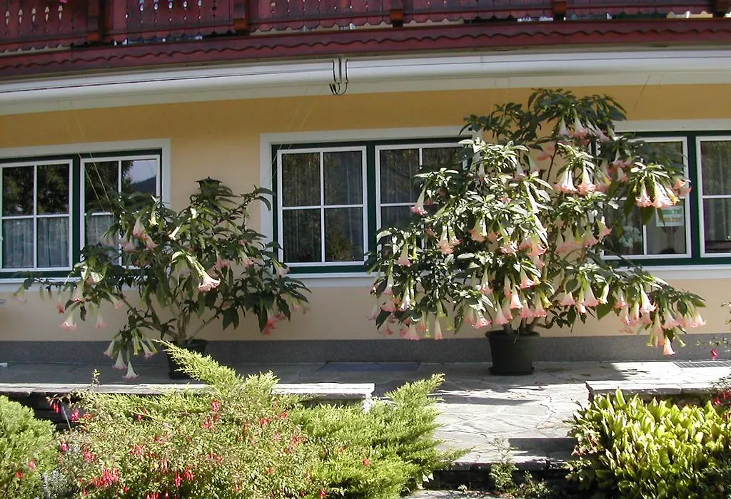 Pension Salzburger Hof-1