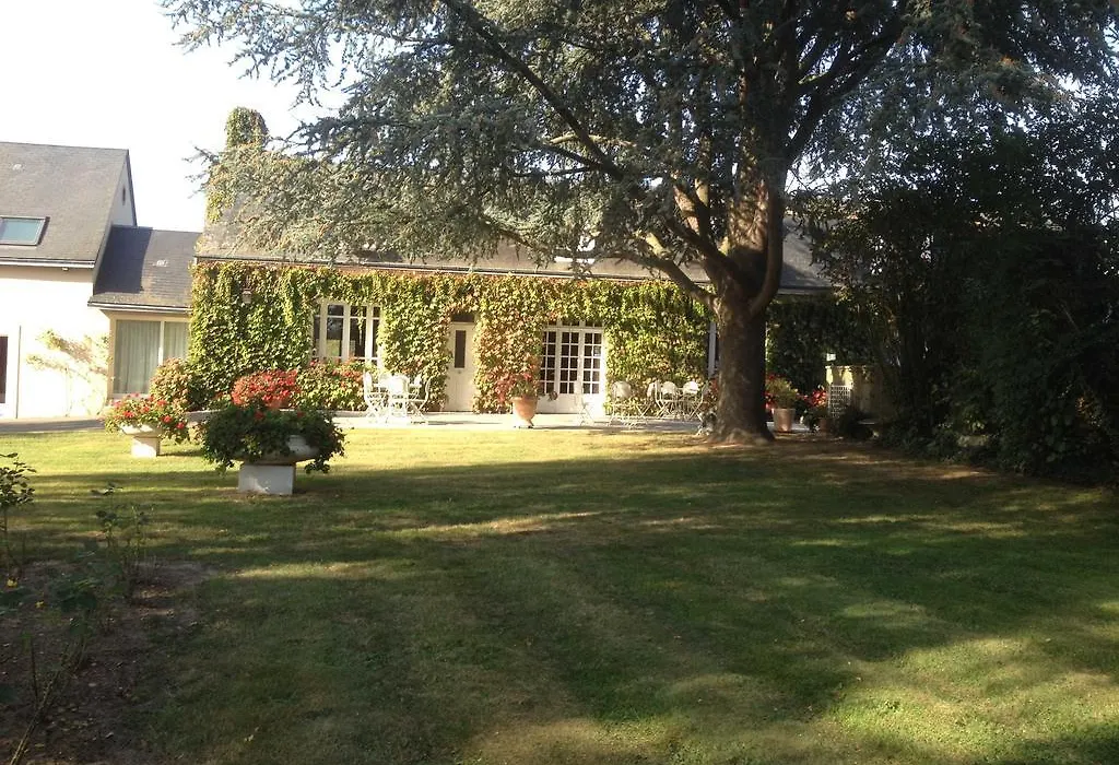 Le Petit Pont-1