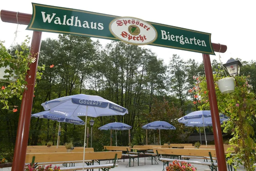 Hotel Waldhaus-1