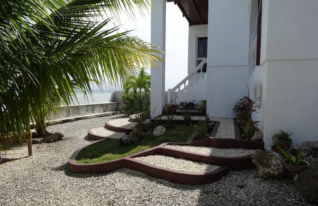 House Rapunzel-1