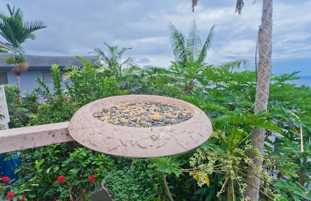Kona Hawaii Guest House A Unique Hawaii Experience-1