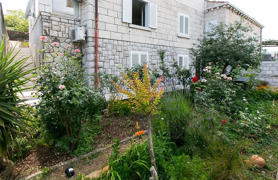 Yellow Room Guesthouse-1