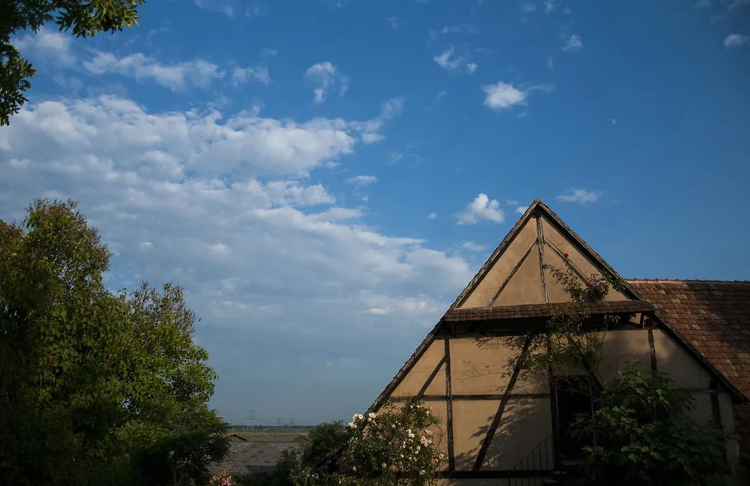 Unter Der Linde-1