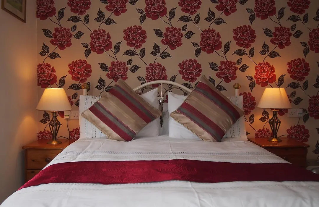 Bodhyfryd Guesthouse-1