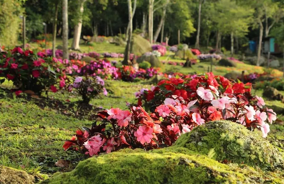 Spring Garden-1